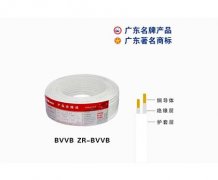 BVVB ZR-BVVB珠江电缆